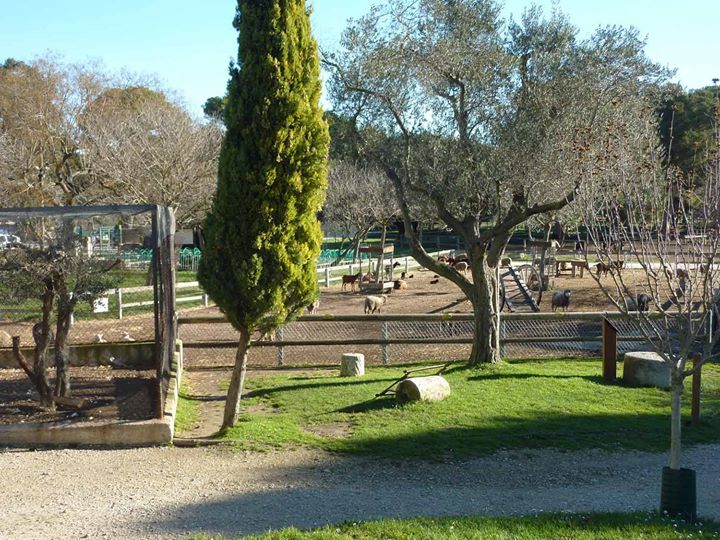 Parc De Figuerolles Avenue Du Grand Parc Martigues